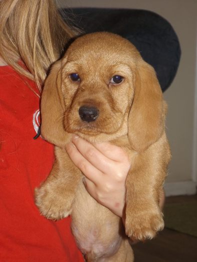 11110997_834968159884188_5818465203748345370_o